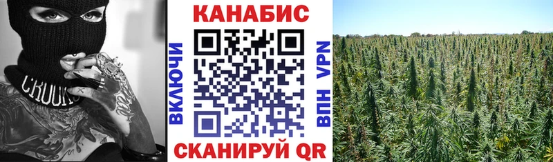 Купить закладку Можга ГАШИШ  АМФЕТАМИН  ЭКСТАЗИ  Героин  Конопля  Меф мяу мяу  СОЛЬ 