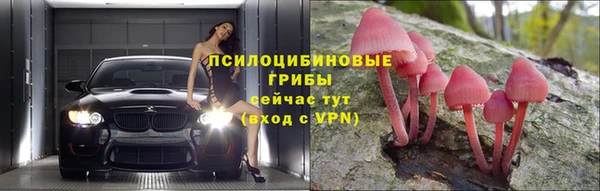 прущие крисы Аркадак