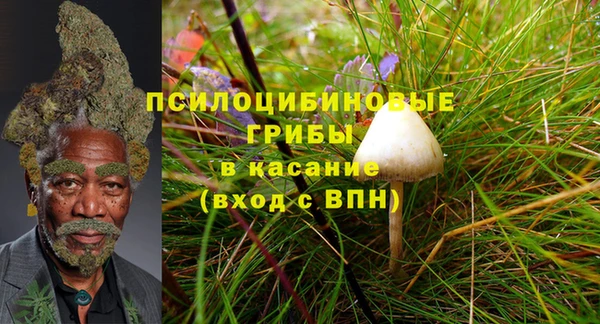 прущие крисы Аркадак