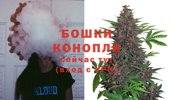 spice Арсеньев