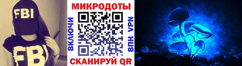 это Telegram Можга Галлюциногенные грибы мицелий