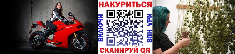 дарнет шоп  кракен   Конопля OG Kush  Можга 